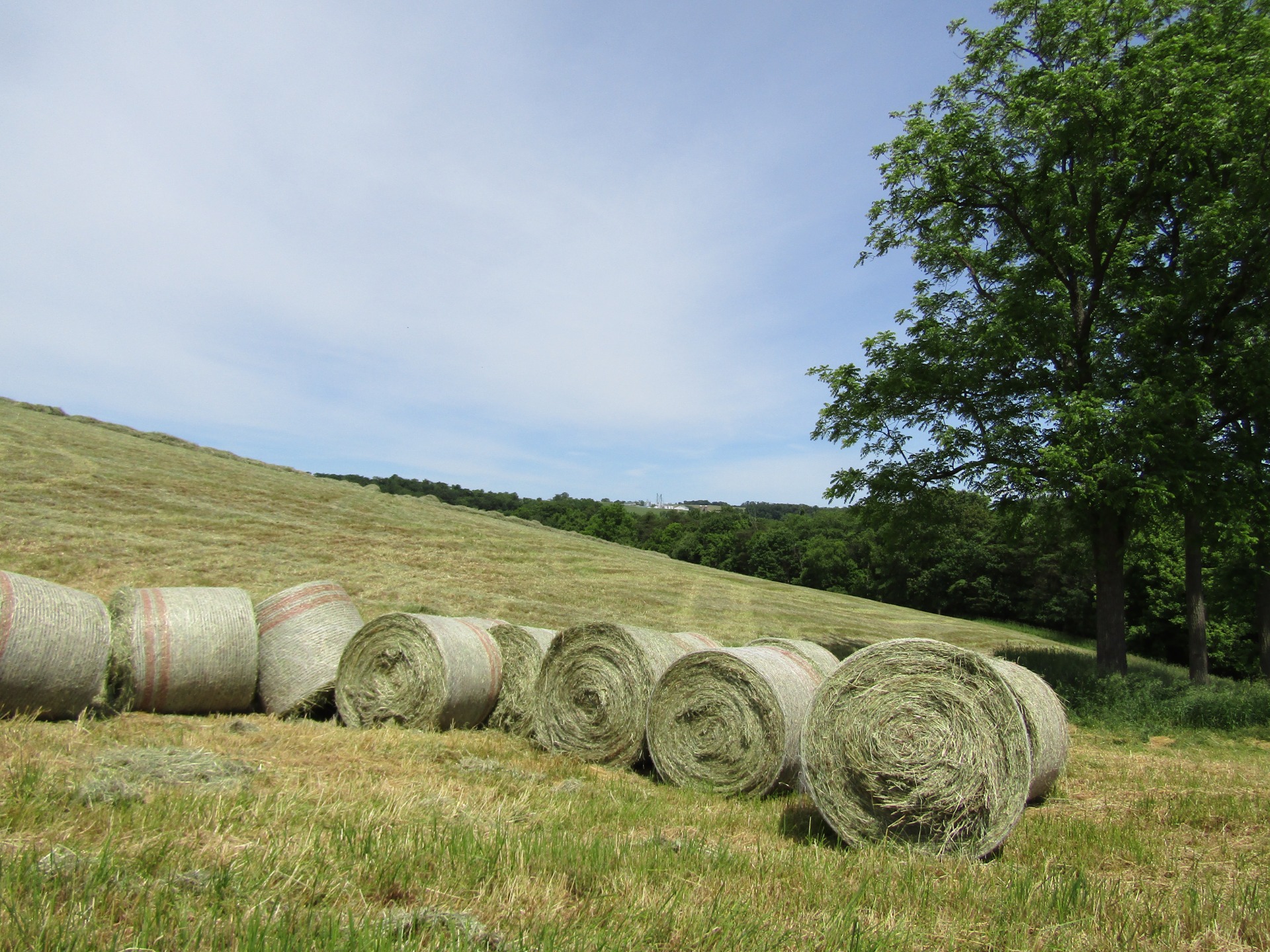 Hay Mountain Ridge Farm